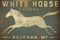 White Horse Running Poster Print by Ryan Fowler - Item # VARPDX22894